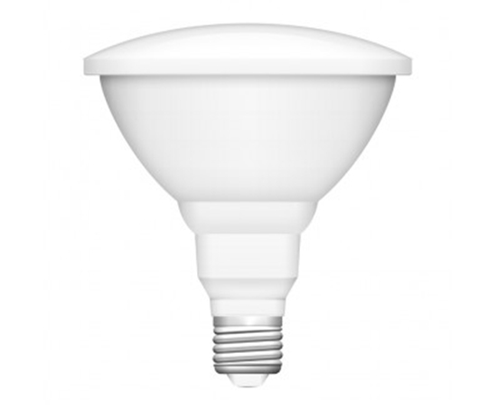 Picture of LED Bulb for Recessed Lights