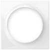 Picture of Nice Walli Single Cover Plate