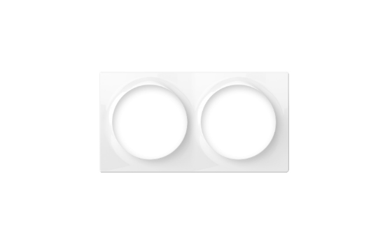DOUBLE COVER PLATE